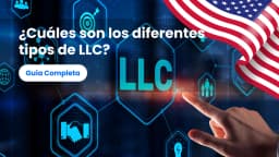 ¿Cuáles son los diferentes tipos de LLC?